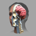 ザイゴット3D人体解剖