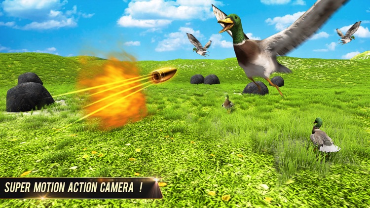 Duck Hunting Animal Shooting screenshot-3