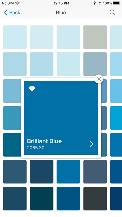 Color Capture screenshot-3