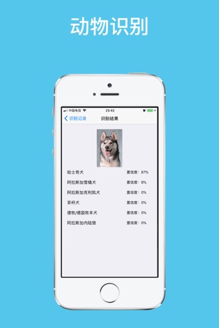 拍照识图-图片识别的专业APP screenshot 4