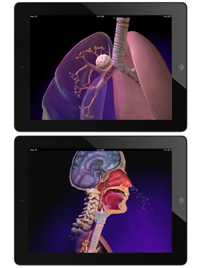 Animated Physiology & Anatomy(圖2)-速報App