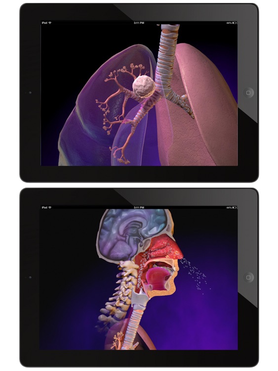 Animated Physiology & Anatomy