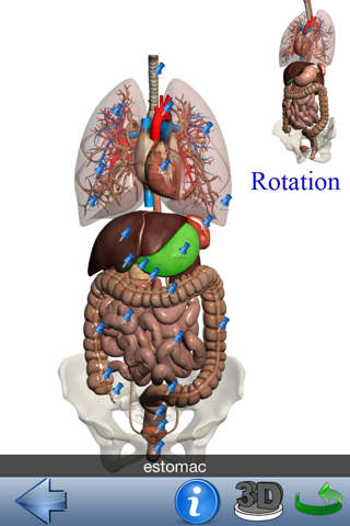 Visual Anatomy Lite screenshot 4