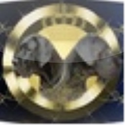 Deutsche Doggen von Blue Ebony