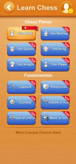 Game screenshot Chess Online: Learn & Win apk