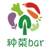 种菜bar