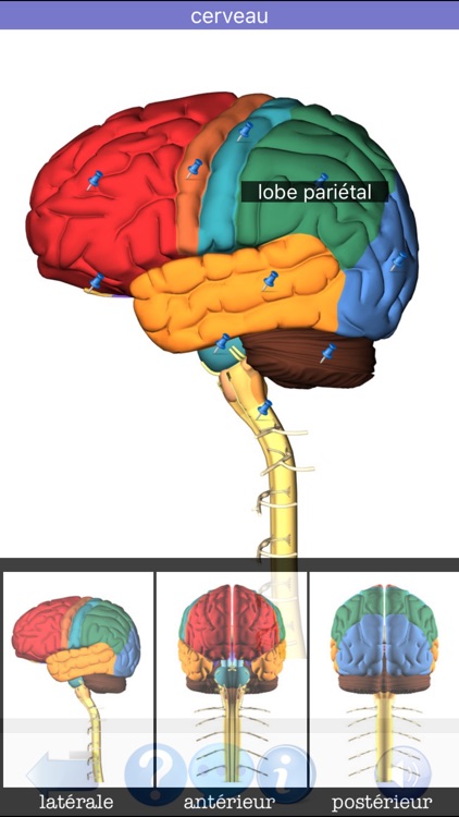 Anatomie Visuel screenshot-7