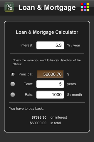 Loan & Mortgage - náhled