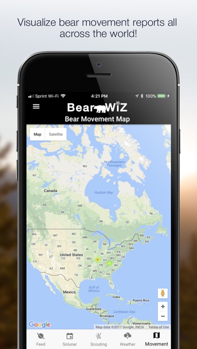 Bear Wiz: Hunting Predictions screenshot 3