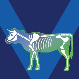 Bone Viewer - Ox Skeleton