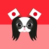 Japanese Chin Puppy Lover
