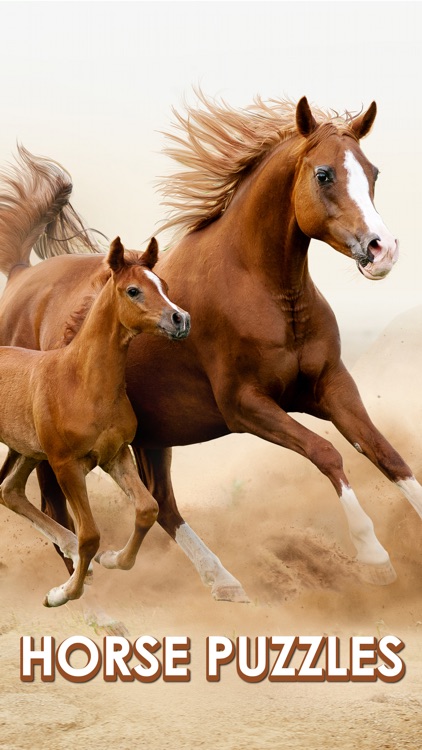 Horse Jigsaw Puzzle Games