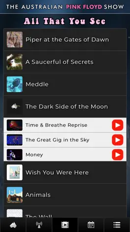 Game screenshot The Australian Pink Floyd Show hack