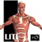 Interactive anatomy reference with 3D rotational models, Gray's anatomy images add-on, a muscle highlighting tool and full description