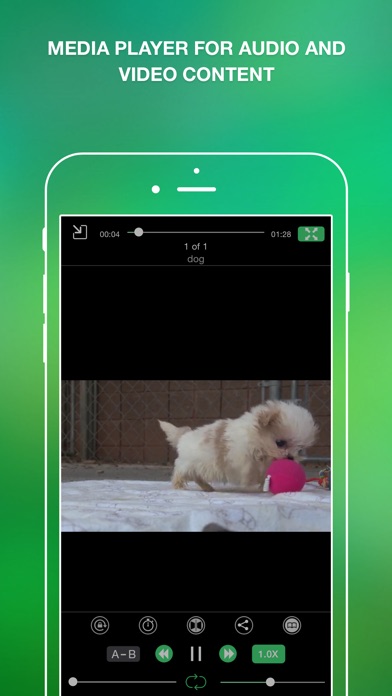 SCARICA MUSICA IPHONE IFILE ORGANIZER