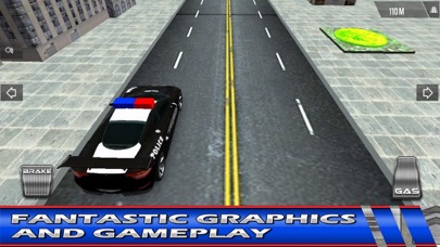 Highway Police Car Driving screenshot 3