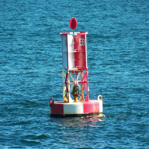 Buoy Stations Feed: NOAA(NDBC)