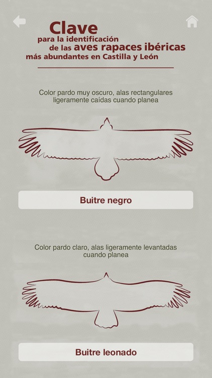 LIFE CARROÑERAS Guía de campo screenshot-3