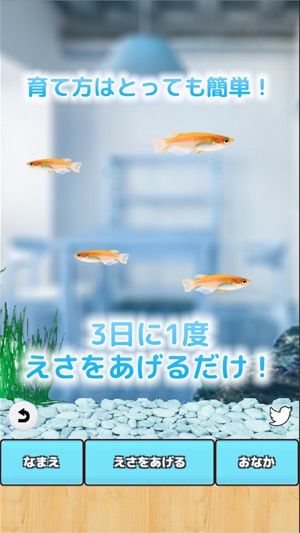 Killifish Aquarium(圖2)-速報App