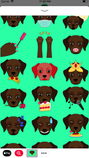 Dark Chocolate Labrador(圖5)-速報App