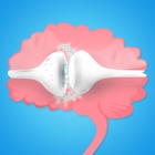 Serrez votre cerveau - le meilleur jeu de concentration - icon