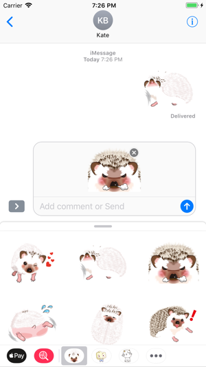 Hedgehog Funny Stickers Pack(圖1)-速報App