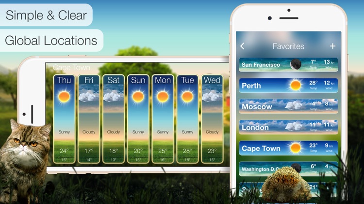 Beautiful Weather & Alerts