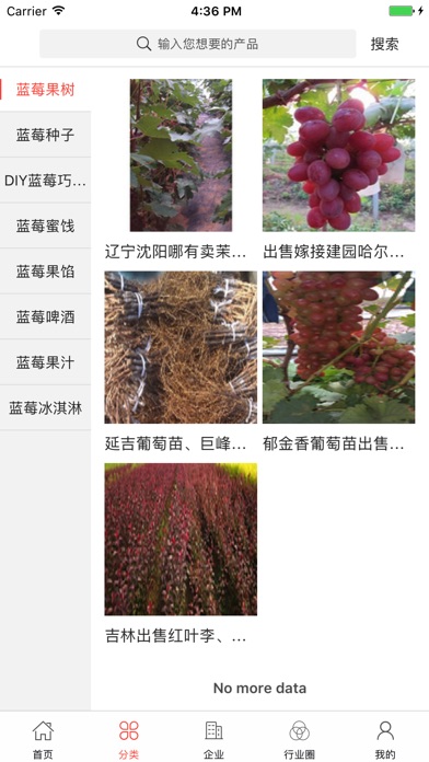 中国蓝莓网 screenshot 2