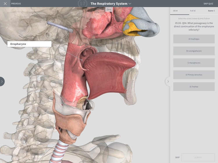 Undergrad Anatomy by Regions screenshot-3