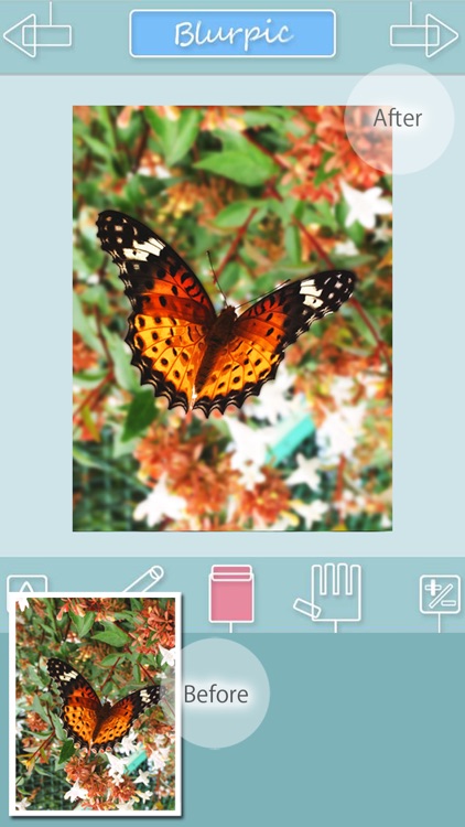 Blurpic - for your memory - screenshot-3