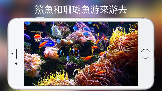 水族館 HD(圖4)-速報App