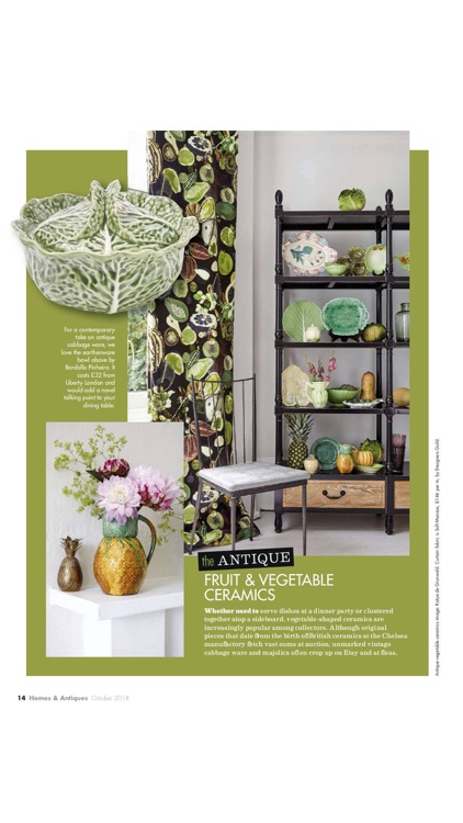 Homes & Antiques Magazine