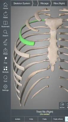 Screenshot 4 Essential Skeleton 4 iphone