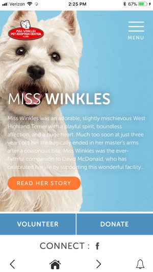 Miss Winkles(圖1)-速報App