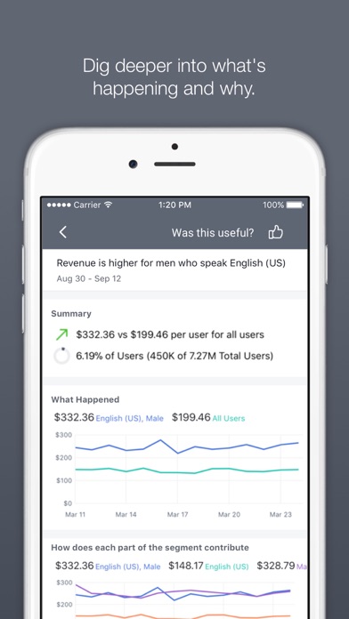 Facebook Analytics screenshot1