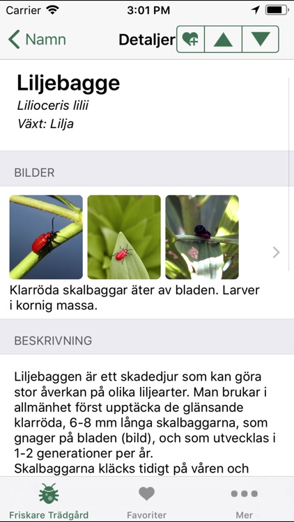 Friskare Trädgård