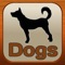Dog owners and breeders will find this tool valuable in learning about both breeds and medical conditions