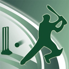 Activities of Cricket Power-Play