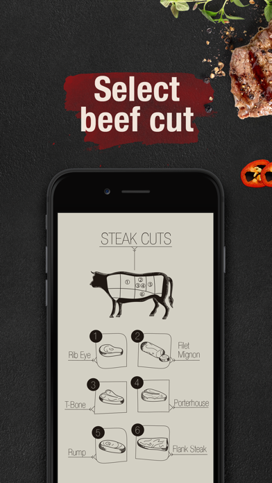 FRYY - how to cook a steak Screenshot 1