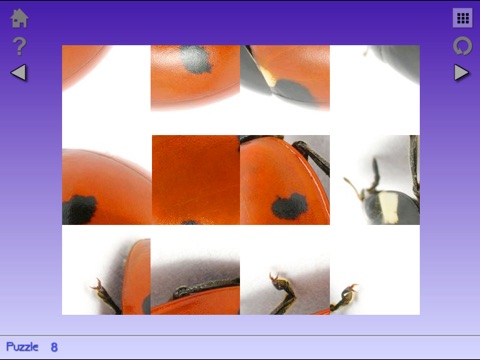Turnings Image Puzzles 4 screenshot 2