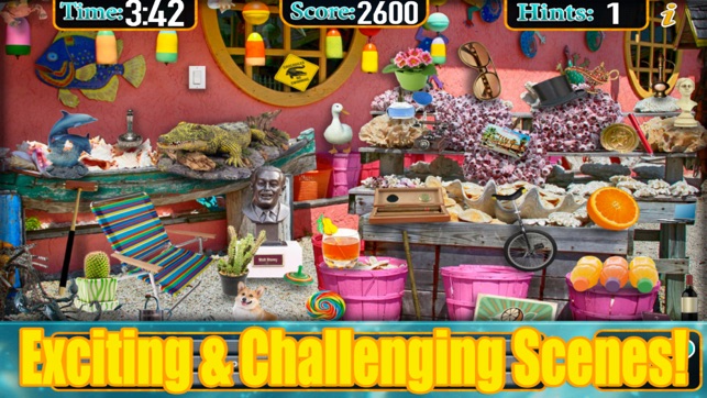 Hidden Objects - Florida Adventure & Object Time(圖3)-速報App