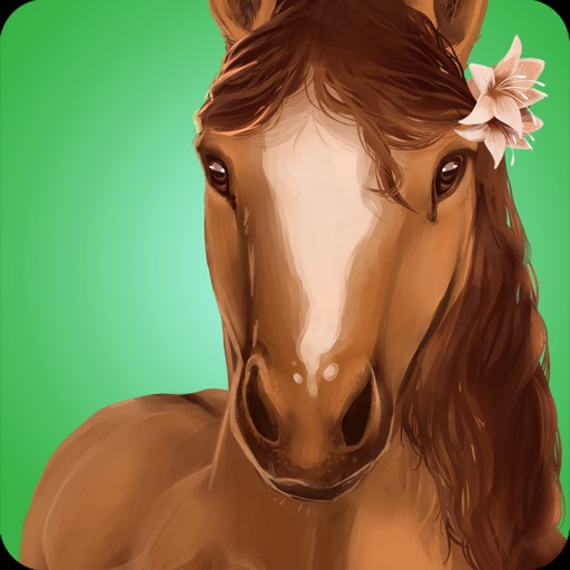 Horse Hotel - care for horses