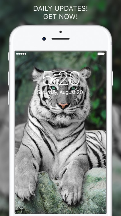 Everpix Pro - HD Wallpapers screenshot-4