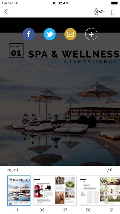 Spa & Wellness International