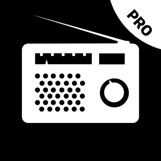 RADIO PLAYER MELOMAN PRO