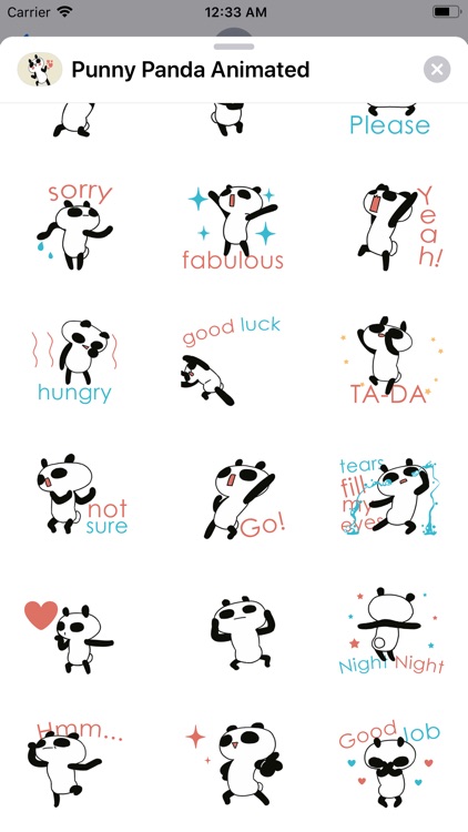 Panda Punny Animated Bear