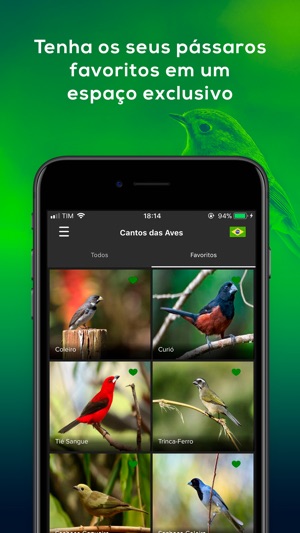 Cantos das Aves -Sons Pássaros(圖3)-速報App