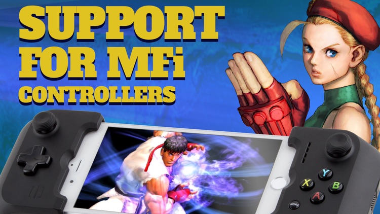 Street Fighter IV CE screenshot-3