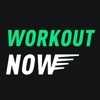 MobileTrends Inc. - Workout NOW 2018  artwork