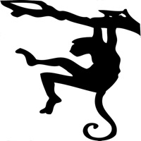 Singes - Quiz pour PC